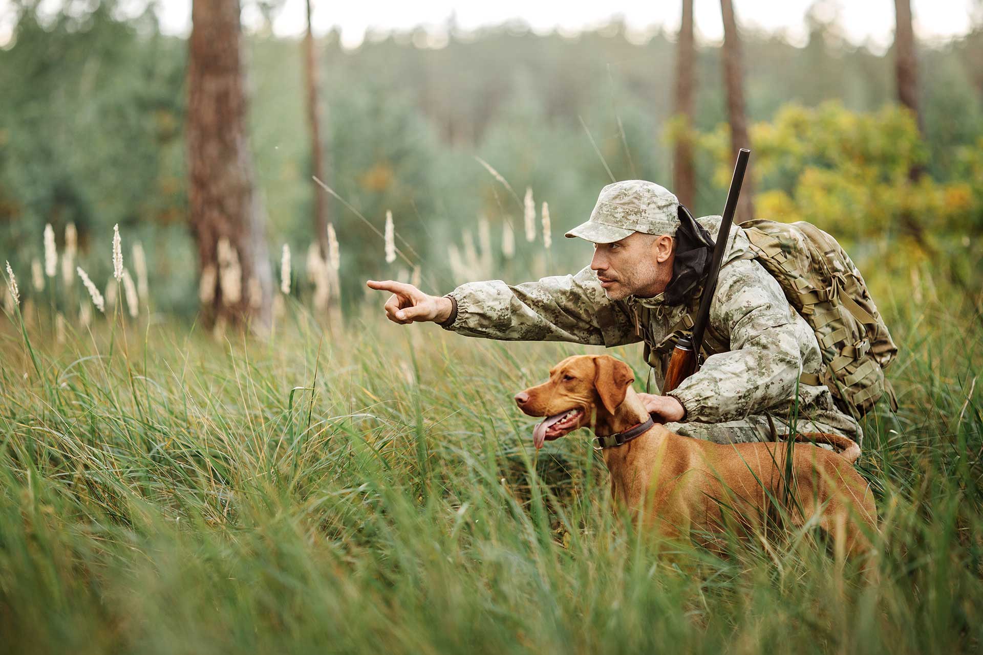 Hunting Violations